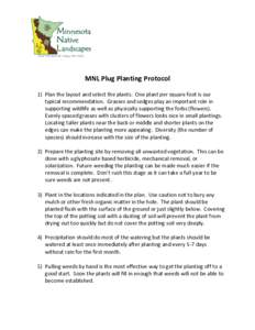MNL Plug Planting Protocol 1) Plan the layout and select the plants. One plant per square foot is our typical recommendation. Grasses and sedges play an important role in supporting wildlife as well as physically support