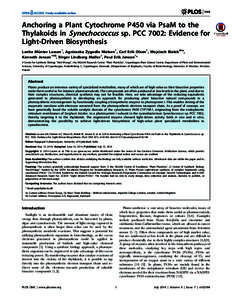 Anchoring a Plant Cytochrome P450 via PsaM to the Thylakoids in Synechococcus sp. PCC 7002: Evidence for Light-Driven Biosynthesis Lærke Mu¨nter Lassen1, Agnieszka Zygadlo Nielsen1, Carl Erik Olsen1, Wojciech Bialek2¤