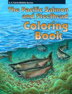 Sockeye salmon / Chinook salmon / Coho salmon / Pink salmon / Spawn / Rainbow trout / Salmon run / Aquaculture of salmon / Fish / Salmon / Oncorhynchus