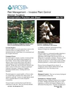 Pest Management – Invasive Plant Control Grecian foxglove Conservation Practice Job Sheet Grecian foxglove (Digitalis lanata) plant Photo J.S. Peterson@USDA-NRCS Plants Database