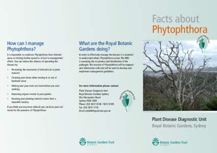 Facts about Phytophthora Di s  It is impossible to eradicate Phytophthora from infested