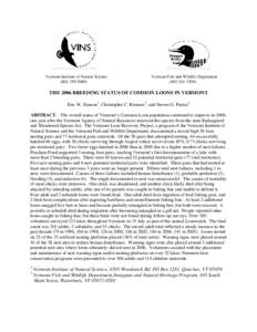 Loon / Bird nest / Swallow / Bird / Zoology / Ornithology / Fauna of Europe
