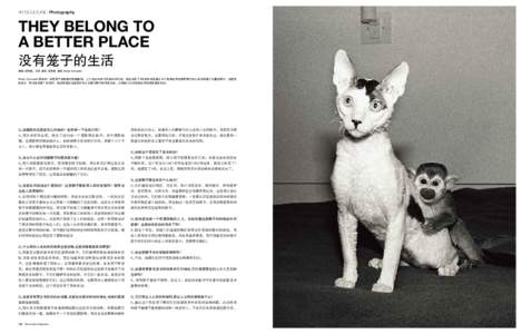 ART&CULTURE | Photography  THEY BELONG TO A BETTER PLACE 没有笼子的生活 编辑_李明昊、王灵 翻译_李明昊 摄影_Robin Schwartz