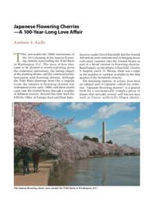 Japanese Flowering Cherries —A 100-Year-Long Love Affair Anthony S. Aiello T
