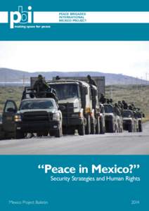 PEACE BRIGADES INTERNATIONAL MEXICO PROJECT making space for peace