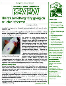 Spring 2014 — Volume 18, Issue 1  There’s something fishy going on at Tobin Reservoir Article by: Jason Matity Marcy Bast loves the mystery of what’s truly going on in the invisible world below the surface