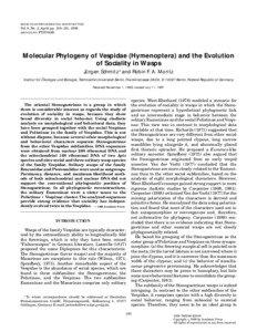 Phylogenetics / Ribosomal RNA / Vespidae / Ribosomal DNA / Vespoidea / Internal transcribed spacer / Potter wasp / Mitochondrial DNA / 16S ribosomal RNA / Genetics / Biology / DNA