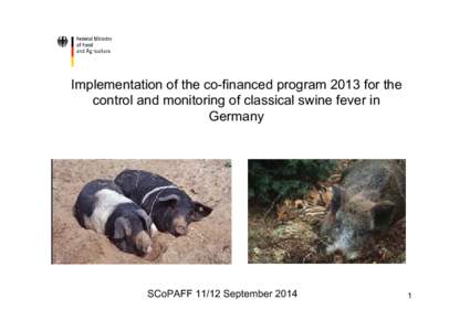 Implementation of the co-financed program 2013 for the control and monitoring of classical swine fever in Germany SCoPAFF[removed]September 2014