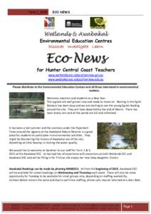 Term 1_2015  ECO NEWS Wetlands & Awabakal Environmental Education Centres