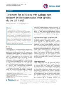 Treatment for infections with carbapenem-resistant Enterobacteriaceae: what options do we still have?