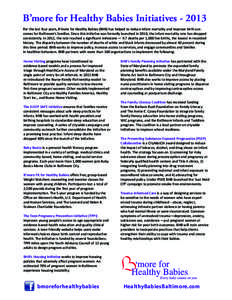 Bmore Initiatives fact Sheet 2013