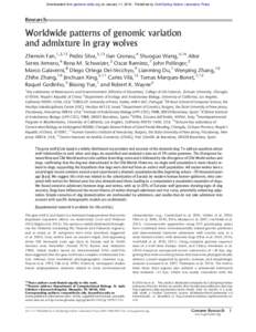 Downloaded from genome.cshlp.org on January 11, Published by Cold Spring Harbor Laboratory Press  Research Worldwide patterns of genomic variation and admixture in gray wolves