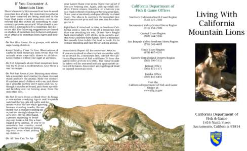 Megafauna / Scavengers / Lion / Leopard / Cougar / Predation / Raccoon / Hunting / Lion dance / Zoology / Lions / Biology