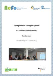 Microsoft Word - Tipping Points_Workshop report_19doc