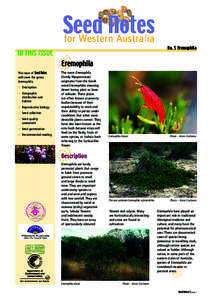 Natural history of Australia / Eremophila / Emu bush / Seed / Myoporaceae / Eremophila debilis / Eremophila alternifolia / Flora of Australia / Eudicots / Flora of New South Wales