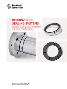 Redura® Rod Sealing Systems Special Designs and Materials for Best Performance  2