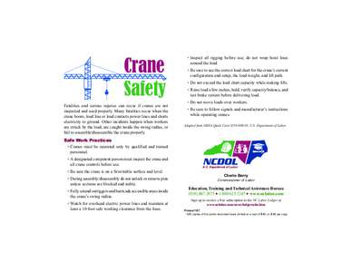 Crane Safety Fatalities and serious injuries can occur if cranes are not inspected and used properly. Many fatalities occur when the crane boom, load line or load contacts power lines and shorts electricity to ground. Ot