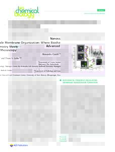 Reviews pubs.acs.org/acschemicalbiology Nanoscale Membrane Organization: Where Biochemistry Meets Advanced Microscopy Alessandra Cambi†,* and Diane S. Lidke‡,*
