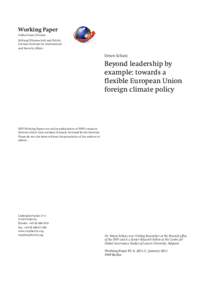 Working Paper Global Issues Division Stiftung Wissenschaft und Politik German Institute for International and Security Affairs