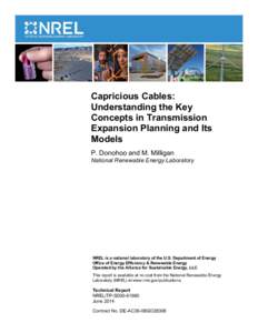 Capricious Cables: Understanding the Key Concepts in Transmission Expansion Planning and Its Models