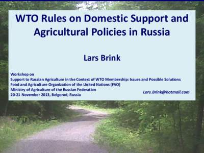 WTO Rules on Domestic Support and Agricultural Policies in Russia Lars Brink Workshop on Support to Russian Agriculture in the Context of WTO Membership: Issues and Possible Solutions Food and Agriculture Organization of