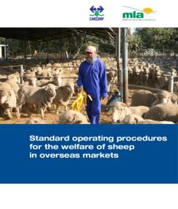 Standard operating procedures for the welfare of sheep in overseas markets 1. Animal handling Key objectives