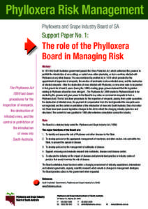 Phylloxera Risk Management Phylloxera and Grape Industry Board of SA Support Paper No. 1:  The role of the Phylloxera