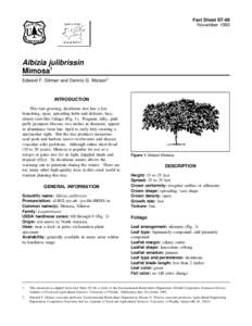Fact Sheet ST-68 November 1993 Albizia julibrissin Mimosa1 Edward F. Gilman and Dennis G. Watson2