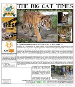 THE BIG CAT TIMES  STARVING TIGERS FIND PERMANENT SANCTUARY AT BIG CAT RESCUE The Cat Chat Show is a weekly podcast in which Big
