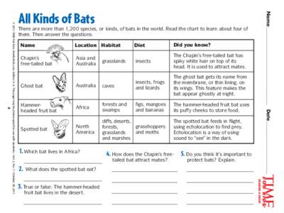 Name  4 There are more than 1,200 species, or kinds, of bats in the world. Read the chart to learn about four of them. Then answer the questions.