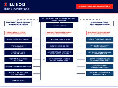 OTHER INTERNATIONAL OFFICES AT ILLINOIS  VICE PROVOST FOR INTERNATIONAL AFFAIRS & GLOBAL STRATEGIES GLOBAL ENGAGEMENT STRATEGY WORKING GROUP (GESWG)