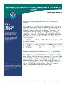 Yellowtail Flounder Accountability Measures in the Scallop Fishery Last Updated: May 2013 NOAA FISHERIES