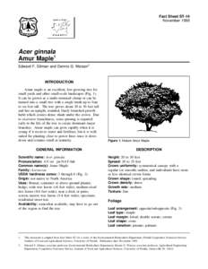 Fact Sheet ST-14 November 1993 Acer ginnala Amur Maple1 Edward F. Gilman and Dennis G. Watson2