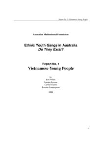 Report No 1: Vietnamese Young People  Australian Multicultural Foundation Ethnic Youth Gangs in Australia Do They Exist?