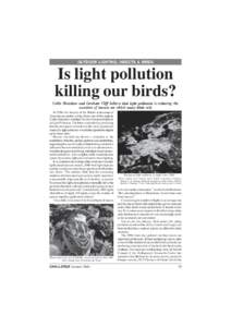 OUTDOOR LIGHTING, INSECTS & BIRDS  Is light pollution killing our birds? Colin Henshaw and Graham Cliff believe that light pollution is reducing the numbers of insects on which many birds rely