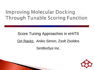 Score Tuning Approaches in eHiTS Orr Ravitz, Aniko Simon, Zsolt Zsoldos SimBioSys Inc. Common problems of the docking field: 
