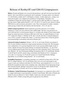 Release of Kenhy(4F) and Gib(10) Limpograsses History: Floralta and Bigalta were crossed in the greenhouse, and seed were harvested from both parents. After some difficulty in getting the seed to germinate, 53 progeny pl