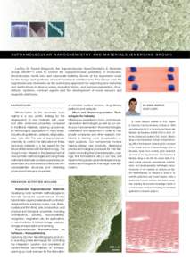 S u p r a m o l e c u l a r N a n o c h e m i s t r y a n d M a t e r i a l s ( EMER G I N G G ROUP )  Led by Dr. Daniel Maspoch, the Supramolecular NanoChemistry & Materials Group (NANOUP) aims to control the supramolec