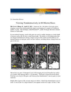 For Immediate Release  Viewing Nondestructively in 60-Micron Slices Elk Grove Village, IL April 12, 2011 – Sonoscan, Inc., the maker of acoustic micro imaging systems, has demonstrated the single-scan imaging of a samp