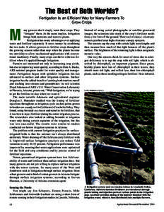The Best of Both Worlds? Fertigation Is an Efficient Way for Many Farmers To Grow Crops M