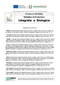 DIREZIONE GENERALE AGRICOLTURA, ECONOMIA ITTICA, ATTIVITÀ FAUNISTICO-VENATORIE  PROVINCIA DI RAVENNA Bollettino di Produzione