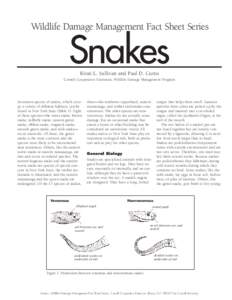 Wildlife Damage Management Fact Sheet Series  Snakes Kristi L. Sullivan and Paul D. Curtis  Cornell Cooperative Extension, Wildlife Damage Management Program