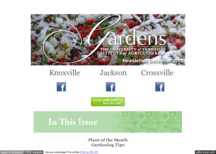 Knoxville  Jackson Crossville
