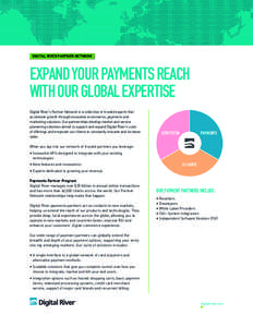 DIGITAL RIVER PARTNER NETWORK  EXPAND YOUR PAYMENTS REACH WITH OUR GLOBAL EXPERTISE Digital River’s Partner Network is a collection of trusted experts that accelerate growth through innovative ecommerce, payments and