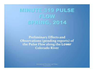 Microsoft PowerPoint - MINUTE 319 PULSE FLOWDraftA