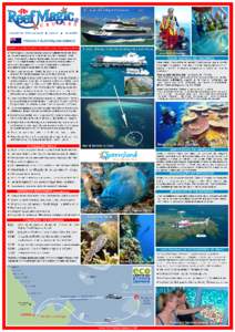 [removed]Reef Magic Cruises summary sheet (Brazilian Portuguese).eps