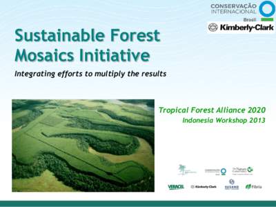 Sustainable Forest Mosaics Initiative Integrating efforts to multiply the results Tropical Forest Alliance 2020 Indonesia Workshop 2013