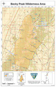 White Pine County /  Nevada / Bureau of Land Management / Becky Peak Wilderness / Wilderness / Schell Creek Range / Goshute Canyon Wilderness / Government Peak Wilderness / Nevada / Protected areas of the United States / Environment of the United States