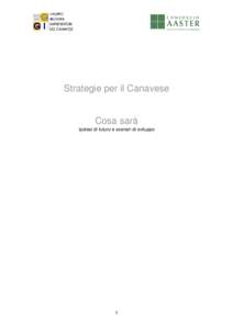 Strategie per il Canavese  Cosa sarà Ipotesi di futuro e scenari di sviluppo  1