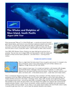 The Whales and Dolphins of Niue Island, South Pacific August 2016 Tour Niue (pronounced 